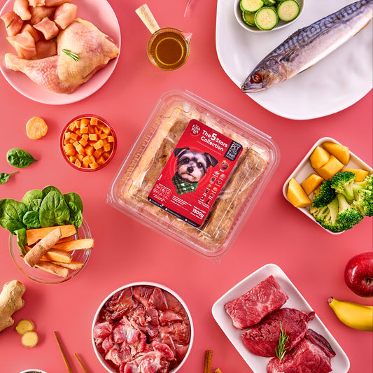 The 5 Stars Collection For Dogs - 1.5 Kg - Best Fresh and Healthy Food for dogs