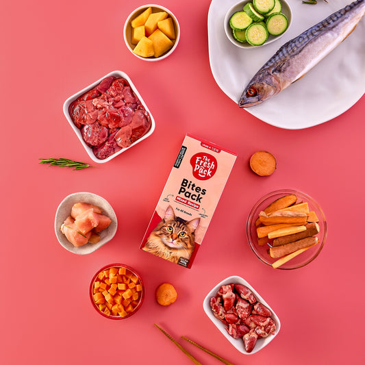 Bites UMAMI  Pack for cats  - Mixed Flavors - Best Fresh and Healthy Food  for Cats