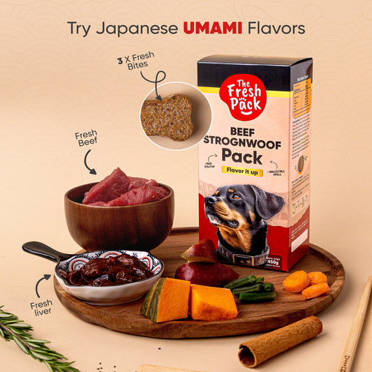 Beef Strognwoof For Dogs - "UMAMI" 450 Grams -Best Fresh and Healthy Food for dogs