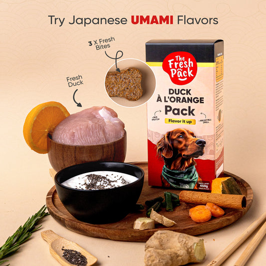 Duck à L'Orange  For Dogs - "UMAMI" 450 Grams - Best Fresh and Healthy Food for dogs