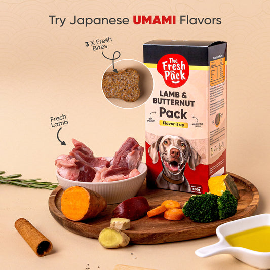 Lamb Recipe For Dogs - "UMAMI" 450 Grams -Best Fresh and Healthy Food for dogs