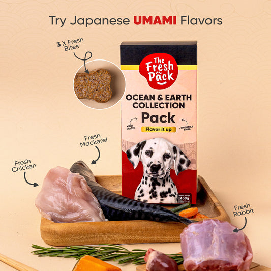 Ocean & Earth Collection For Dogs - "UMAMI" 450 Grams - Best Fresh and Healthy Food for dogs