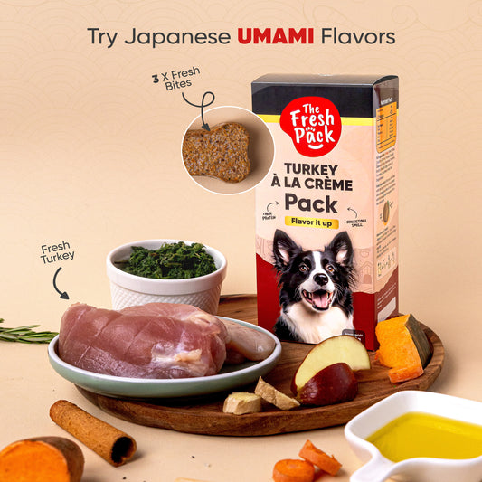Turkey à la Crème For Dogs - "UMAMI" 450 Grams - Best Fresh and Healthy Food for dogs