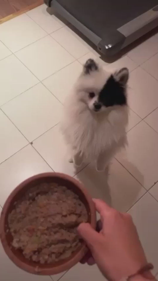 Growth Pack For Dogs - Best Fresh and Healthy Food  for Dogs - 1500 Grams UMAMI