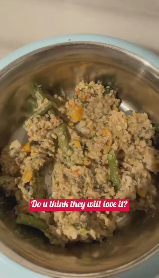 Shiny Pack For Dogs - Best Fresh and Healthy Food  for Dogs - 1500 Grams UMAMI