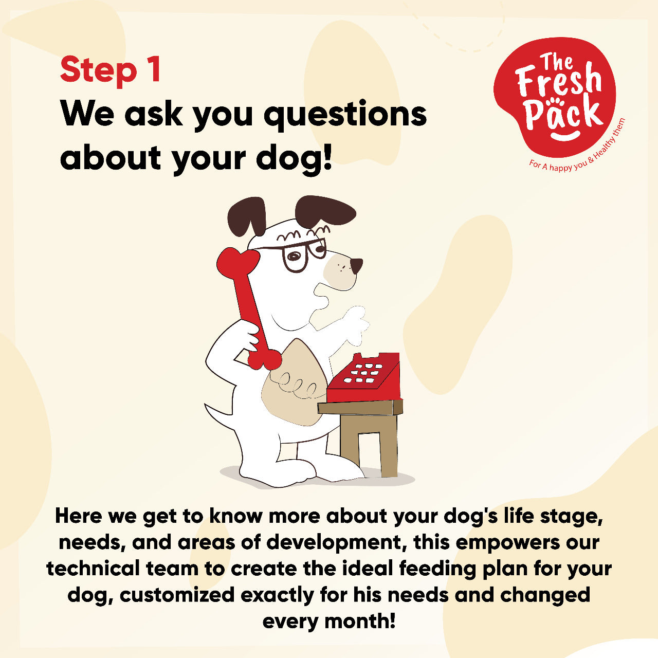 Monthly Subscription & Nutrition Plan - Best Fresh and Healthy Food for Pets