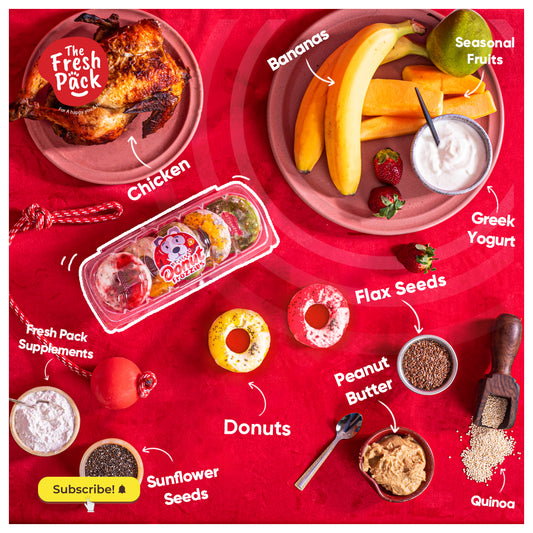 Dog Vitamin Treats - Donuts Frozzies - Best Fresh and Healthy Food  for Dogs