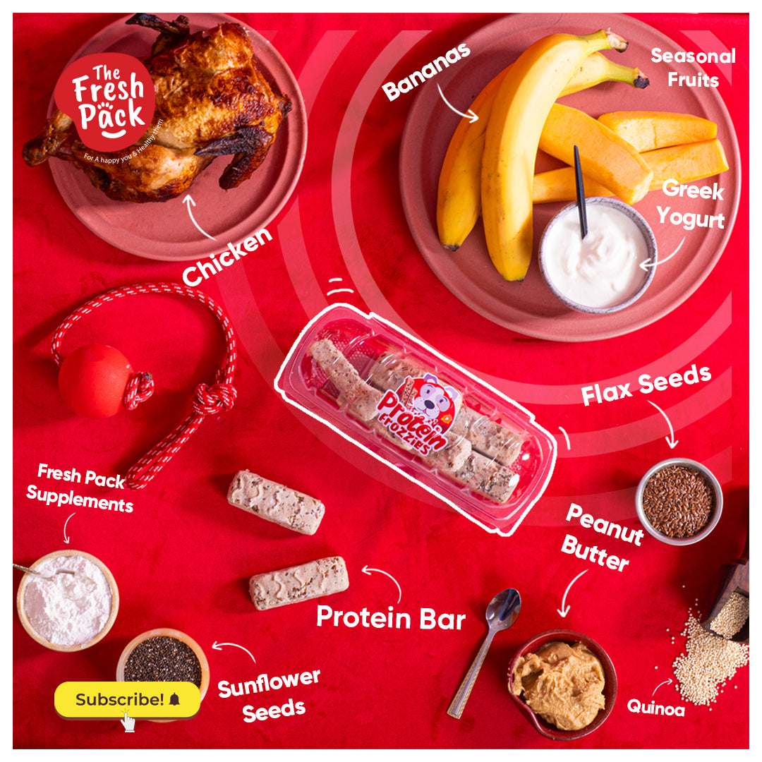 Dog Vitamin Treats -Protein Frozzies - Best Fresh and Healthy Food for Dogs