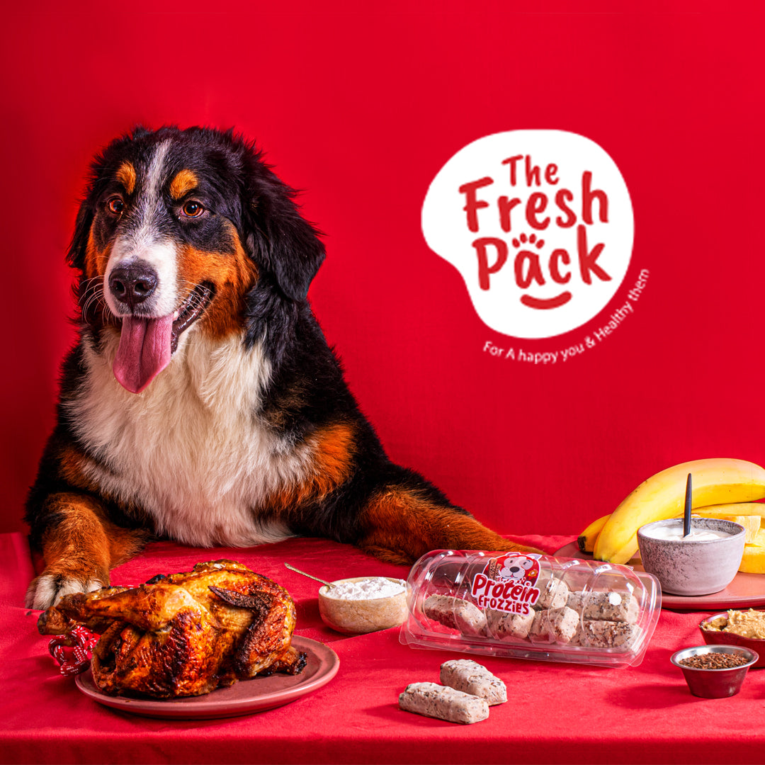 Fresh pack dog store food