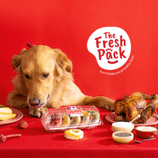 Dog Vitamin Treats - Donuts Frozzies - Best Fresh and Healthy Food  for Dogs