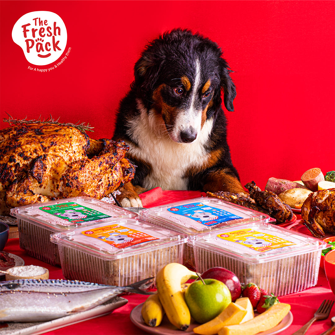 The Fresh Pack Egypt Best Fresh and Healthy Food for Dogs and Cats