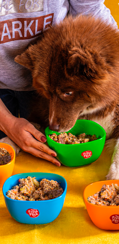 Fresh pack best sale dog food