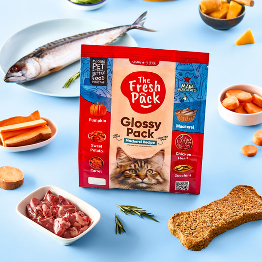 Glossy UMAMI Pack for cats - With Mackerel Fish - Best Fresh and Healthy Food  for Cats