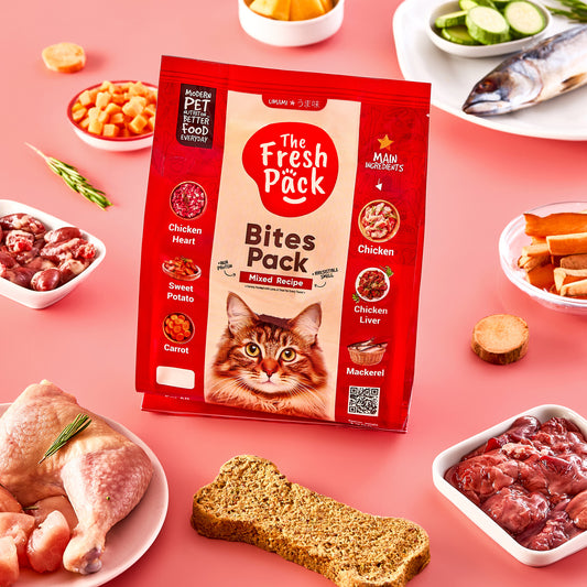 Bites UMAMI  Pack for cats  - Mixed Flavors - Best Fresh and Healthy Food  for Cats
