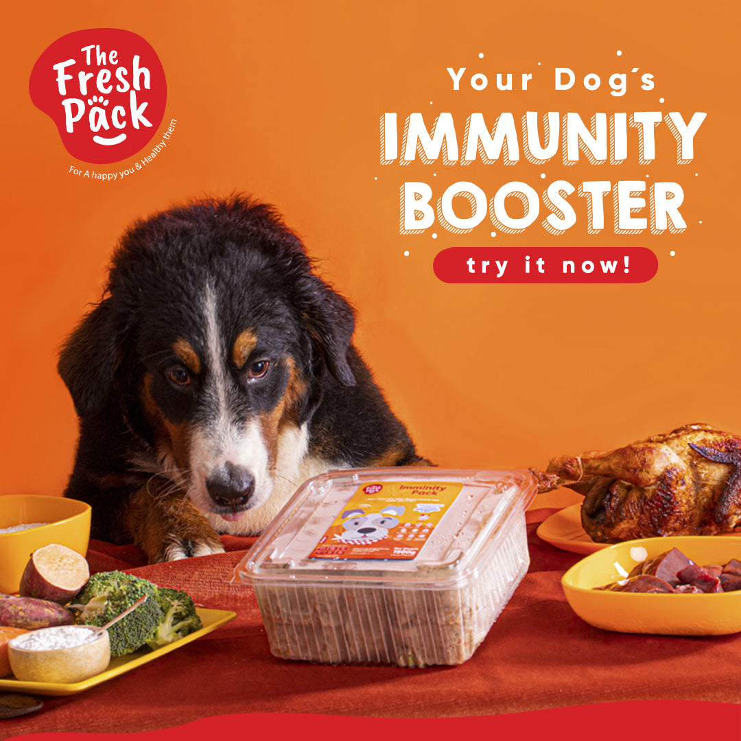 Immunity Pack For Dogs Best Fresh and Healthy Food for Dogs