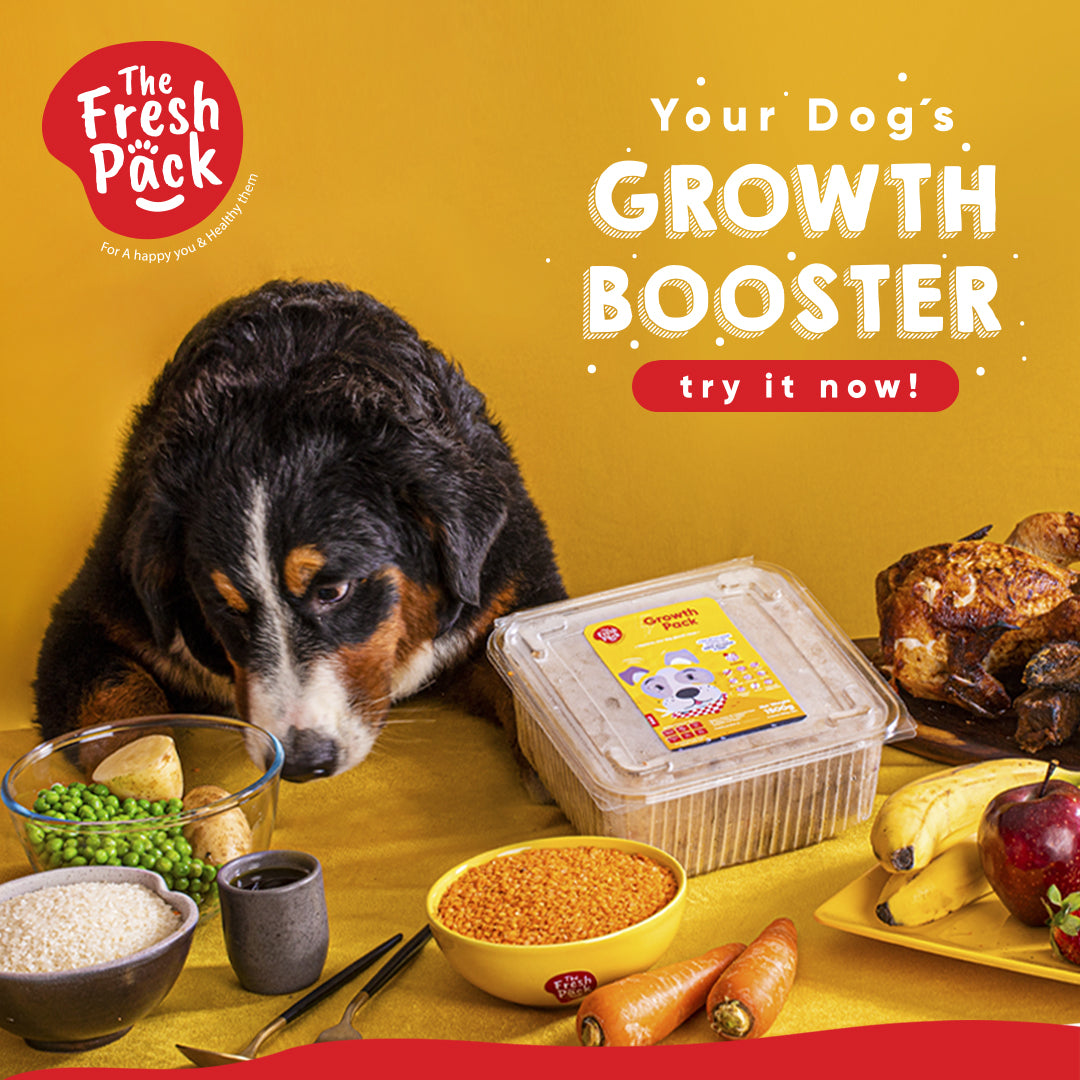 Growth Pack For Dogs Best Fresh and Healthy Food for Dogs The