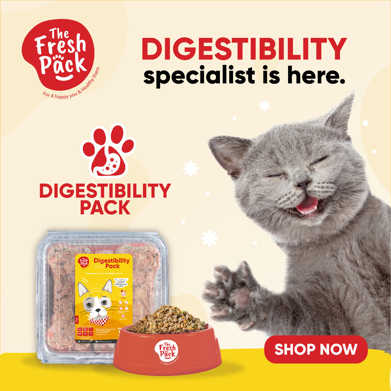 Digestability Pack for cats - With Chicken - Best Fresh and Healthy Food  for Cats